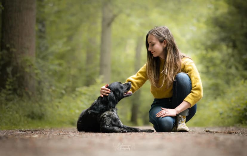 La zoothérapie (médiation animale)